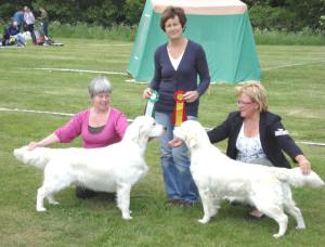 Vilda BIR 090606.jpg