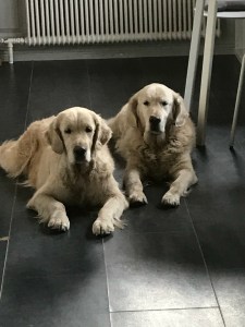 Tuva t.v. Och mamma Vilda t.h.